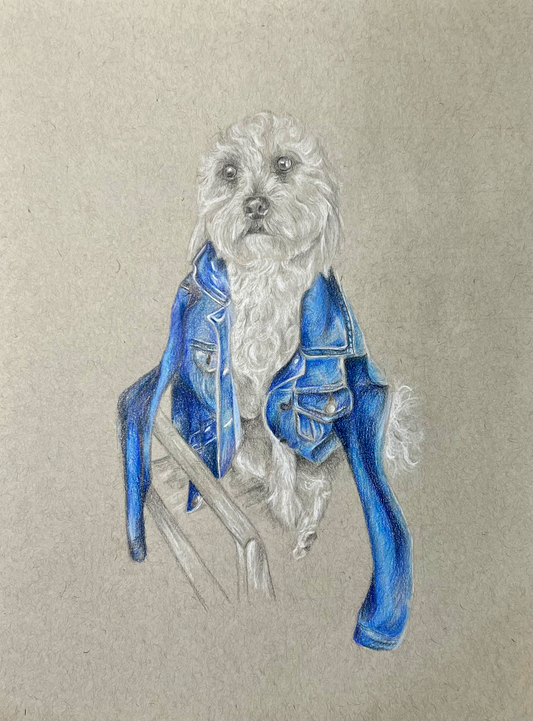 Bmo the Dog Wearing a Jacket